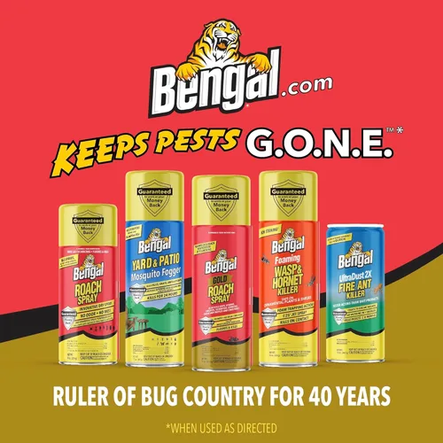 Miniatura 6 de Bengal Gold Spray para Cucarachas - Spray para Insectos Inodoro y sin Manchas para el Hogar - Previene la Reinfestación hasta por 6 Meses - 325 ml