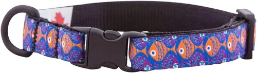 Miniatura 12 de RC Pets Kitty Breakaway - Collar para gatos, Cat-titude