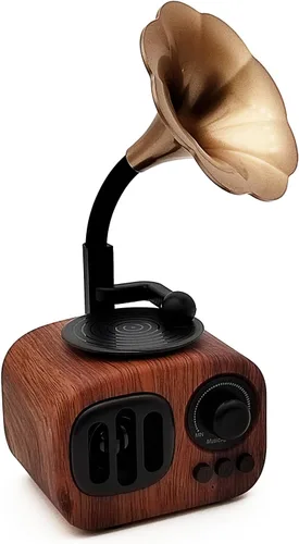 Tipmant Mini altavoz Bluetooth inalámbrico clásico audio estéreo retro vintage reproductor de discos modelo decoración de la habitación del hogar