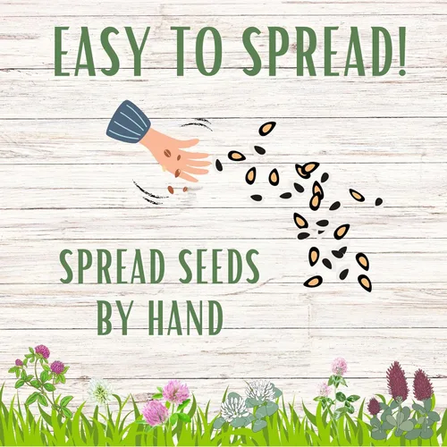 Miniatura 4 de Flawn Seed Kits Semilla de trébol tricolor, mezcla igual de trébol rojo carmesí, trébol rojo medio, trébol blanco holandés, bolsa con cremallera