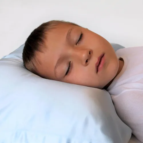 Miniatura 2 de Mulberry Park 19 Momme Funda de almohada de seda para niños y niños pequeños, evita la cabeza de cama y el encrespamiento, suave con la piel