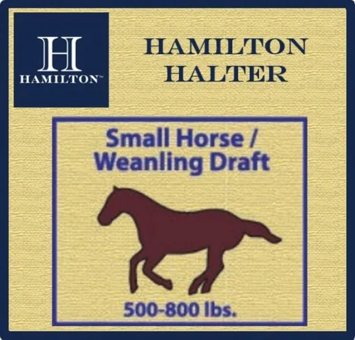 Miniatura 3 de Hamilton Caballo de nailon de 1 pulgada, tamaño pequeño (500-800 libras), azul baya