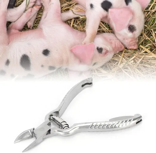 Miniatura 6 de Cortador de dientes de cerdo, 5.5 in/5.5 pulgadas de acero inoxidable de alta calidad para el hogar, granja