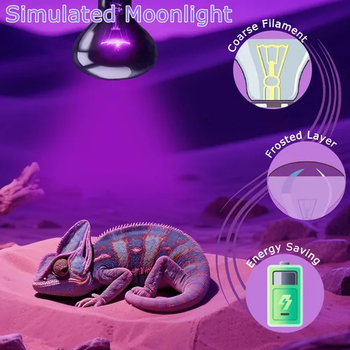 Miniatura 2 de Bombilla nocturna de reptil de 75 W, lámpara de calor UVA – Bombilla de luz de luna natural simulada para dragón barbudo, lagarto, serpiente