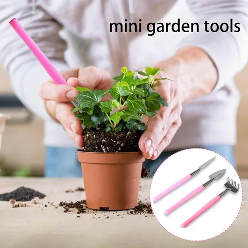 Miniatura 5 de Mini herramientas de jardinería, 3 piezas de herramientas de acero inoxidable para suculentas, pala, rastrillo de pala, pala de mano de 2