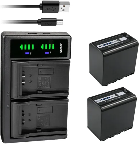 Miniatura 7 de Kastar AG-VBR89G LTD2 Cargador de batería USB compatible con videocámara Panasonic HC-X2 4K, videocámara móvil Panasonic HC-X20 4K