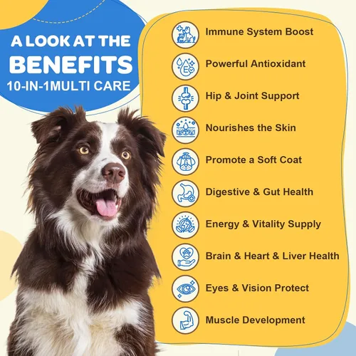 Miniatura 2 de Multivitamínico para perros con minerales para la salud general, vitaminas y suplementos para perros con glucosamina, probióticos para cachorros