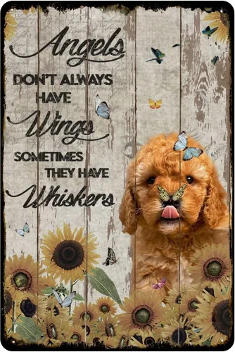 Letrero de hojalata vintage con texto en inglés «Angels Don't Always Have Wings Sometimes They Have Whiskers», cartel de estaño vintage para amantes