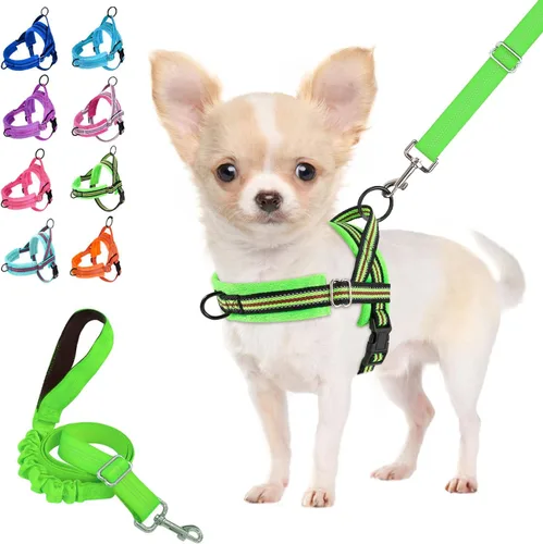 Miniatura 15 de Arnés para perro Lukove sin tirón y juego de correa, arnés suave acolchado para perros pequeños, arnés reflectante ajustable en cuello y pecho