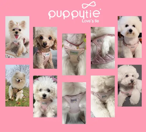 Miniatura 6 de Puppytie Arnés sin tirones para perro, con correa multifunción, pechera suave y ajustable para mascota, no ahorca, chaleco a prueba de escape, rosa