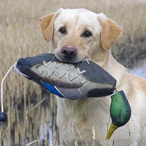 Duck Dummy Bumper: muñeco de entrenamiento de aves para entrenar perros de caza, imita el juguete de parachoques de pato muerto para aves acuáticas,