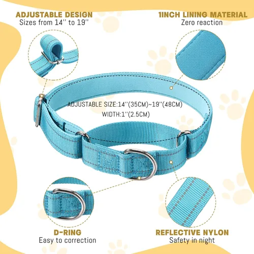 Miniatura 2 de 12 collares de Martingala para perros medianos, collar reflectante para perro con hebilla de metal duradera, nailon ajustable para mascotas que