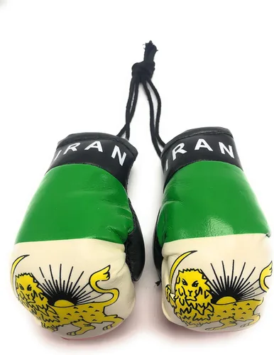 Miniatura 32 de Mini guantes de boxeo para colgar en el espejo del coche (Camerún)