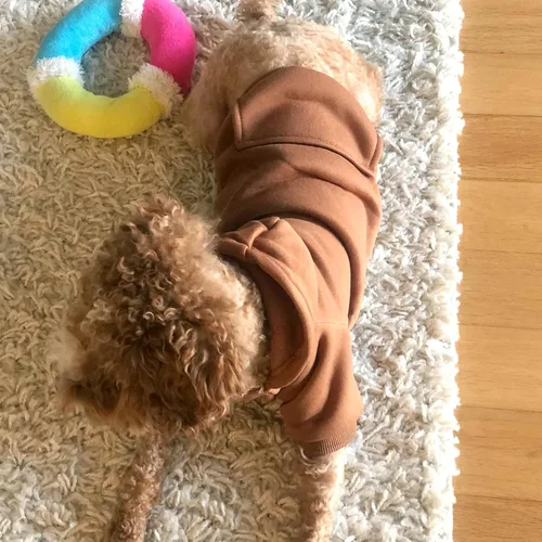 Miniatura 2 de Jecikelon - Sudadera con capucha y bolsillos, cálida para invierno, para perros pequeños, ropa de abrigo para chihuahuas, disfraz para cachorros