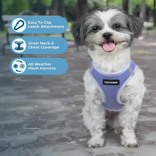 Miniatura 179 de Best Pet Supplies Voyager Step-in Air - Arnés para mascotas, malla para todo tipo de clima, reflectante, arnés sin tirón para perros y gatos - Arnés