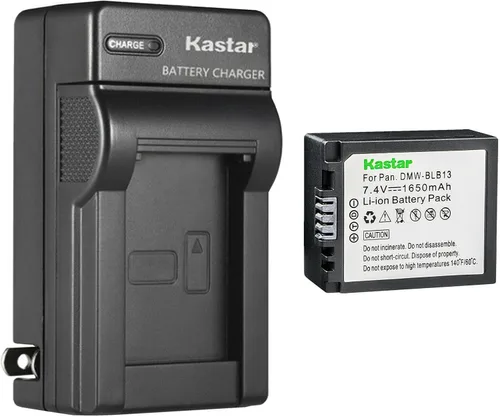 Kastar Paquete de 1 cargador de batería y pared de CA para Panasonic Lumix DMC-G2 DMC-G2A DMC-G2R DMC-G2K DMC-G2KGK DMC-G2W, Lumix DMC-G10 DMC-G10K