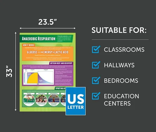 Miniatura 2 de Daydream Education Respiración anaeróbica Pósteres de PE Papel laminado brillante que mide 33 x 23.5 pulgadas Gráficos de educación física
