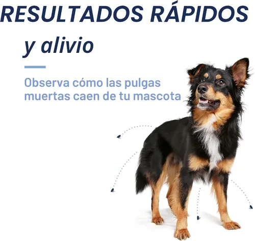 Miniatura 5 de PetArmor CAPACTION (nitenpiram) Tratamiento oral contra pulgas para perros, tabletas de acción rápida comienzan a matar en 30 minutos, tratamiento