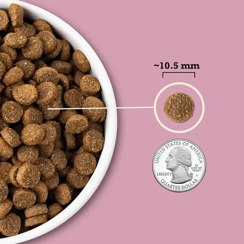 Miniatura 4 de ACANA Wholesome Grains - Alimento seco para perros, receta para raza pequeña, pollo real, huevos y pavo, bolsa de 4 libras