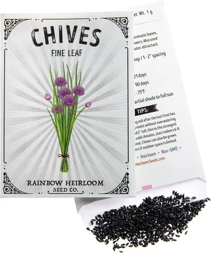 Miniatura 3 de Semillas de cebollino para plantar Variedad de hojas finas (paquete de 0.04 oz - aproximadamente 250 semillas) Semillas sin OMG y reliquia