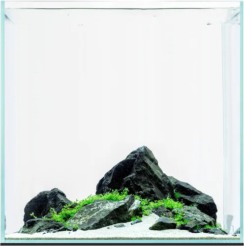 Miniatura 44 de UNS Acuario Ultra Claro Sin Borde - 25.6GAL 97.2L - 23.62x14.17x17.71 60x36x45 CM, Grosor de Vidrio de 6mm, Incluye Alfombrilla Nivelante