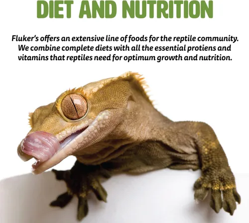 Miniatura 3 de Fluker's Fresh Feeder Vac Pack Cucarachas Dubia, Totalmente Naturales y Libres de Conservantes, Excelentes para Reptiles, Aves o Animales Pequeños