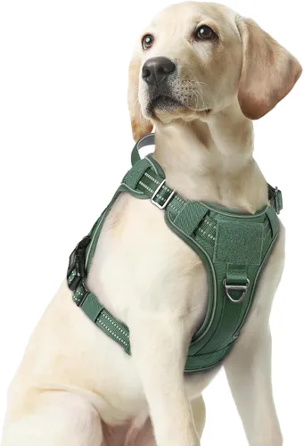 Miniatura 60 de rabbitgoo - Arnés para perros pequeño sin tirones, chaleco táctico de servicio con Molle y asa de control, arnés militar ajustable y reflectante