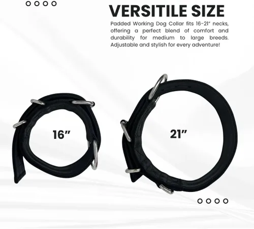 Miniatura 7 de SparkDog - Collar acolchado para perro, 2 pulgadas de ancho, nailon de 4 capas, correas para cinturón de seguridad, accesorios de acero inoxidable