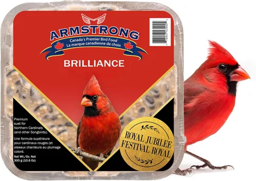 Miniatura 2 de Armstrong Bird Food Royal Jubilee Brilliance - Pastel de sebo de 10.6 onzas (paquete de 3), con girasol de aceite negro, cártamo, pasas, cerezas
