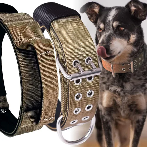 Miniatura 8 de Collar de perro grande resistente – 2 pulgadas de ancho con asa para perros de razas extra grandes, collar táctico de nailon a prueba de mordidas