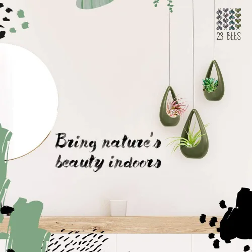 Miniatura 7 de 23 Bees, Soporte colgante para plantas de aire, maceta de cerámica con colgador verde, contenedor pequeño flotante para suculentas, soportes