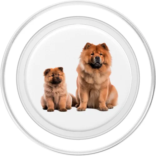 Miniatura 2 de Cute Chow Chow Dogs PopSockets MagSafe PopGrip para iPhone