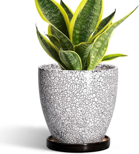 Miniatura 28 de Maceta para Plantas de 6.8 Pulgadas - Maceta de Cerámica con Orificio de Drenaje y Platillo, Maceta Redonda Moderna para Flores, Macetas