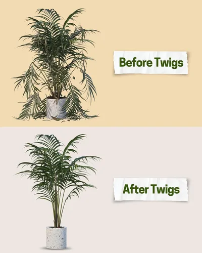Miniatura 4 de Twigs GA - Estacas de soporte para plantas para uso en interiores y exteriores, alternativa duradera de enrejado para plantas trepadoras