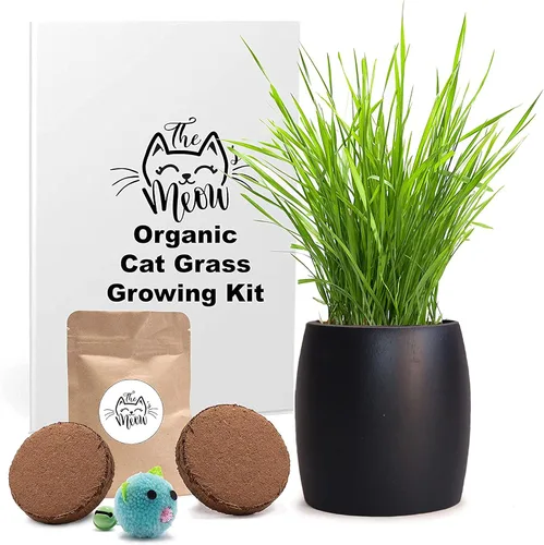 Miniatura 4 de Kit de hierba para gatos de interior – Semillas orgánicas y tierra de mejor valor para 4 plantaciones, incluye juguete de regalo para gatos