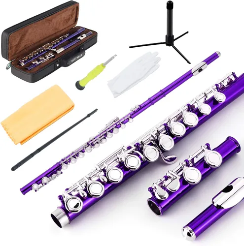 Miniatura 10 de EASTROCK Flautas de agujero cerrado C de 16 teclas para principiantes, niños, estudiantes, flauta de níquel plateado con soporte para estuche y kit