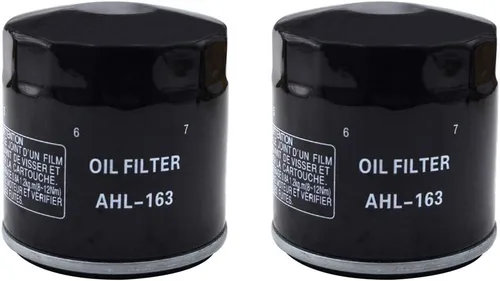 Miniatura 5 de AHL 163 - Filtro de aceite para BMW R850C Euro 850 2000 2001