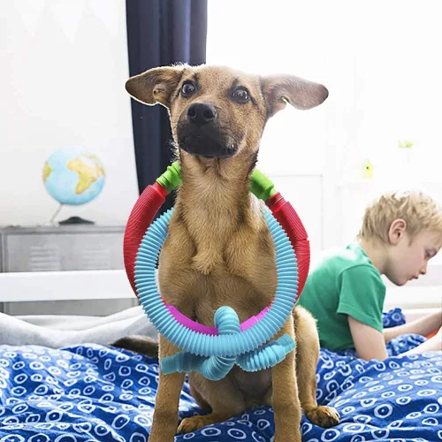 Miniatura 5 de Juguetes sensoriales Pop Tubes, juguetes sensoriales para niños y adultos, tubos multicolor para reventar juguetes sensoriales (M-(paquete de 6))