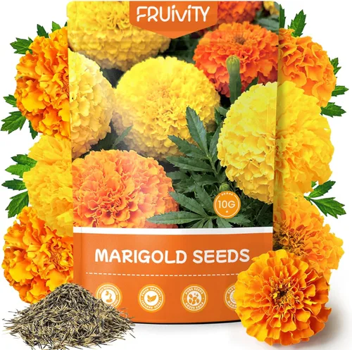 Miniatura 9 de Tri-Color French Marigold Seeds for Planting – 4OZ 38,000+ Open-Pollinated Flower Seeds to Plant, High Germination Rate, Fast Blooming for Gardens