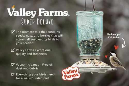 Miniatura 6 de Valley Farms Super Deluxe - Alimento para pájaros silvestres (15 libras) para comederos exteriores – 0% rellenos – cargas de semillas de girasol