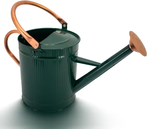 Regadera de 1 galón, regadera de plantas, regadera de metal con boquilla extraíble, jarra de riego galvanizada, bonita lata de agua verde para uso