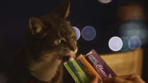 Miniatura 7 de INABA - Golosinas Churu para gatos, puré cremoso para gatos, sin cereales, que se puede lamer y exprimir / suplemento con vitamina E y taurina, 0.5