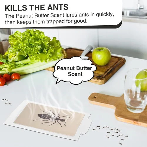 Miniatura 3 de Qualirey Trampas para hormigas para interiores, con aroma a mantequilla de maní mejorada, 10 piezas más grandes para hormigas, araña, ciempiés