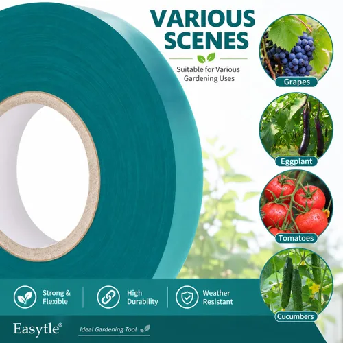 Miniatura 6 de Easytle Paquete de 2 rollos de cinta elástica de 150 pies, cinta de amarre de jardín de 1/2 pulgada, cinta gruesa y resistente para plantas, estacas