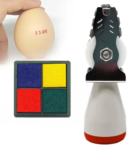 Sellos de fecha de huevo para huevos frescos, con una almohadilla de tinta de cuatro colores, kit de fechador de huevos, sellos de rodillos de
