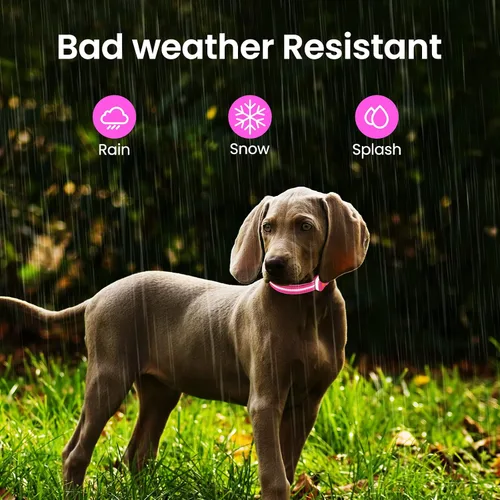 Miniatura 4 de MASBRILL Collares de perro iluminados, collar de perro con luz RGB LED para perros, collar de perro recargable iluminado resistente al agua, Rosado
