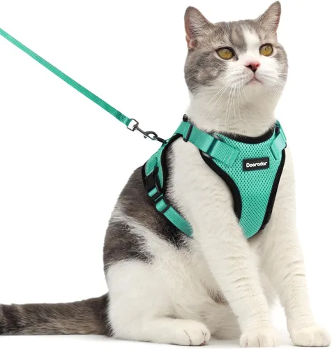 Miniatura 19 de Dooradar Juego de arnés y correa para gato, chaleco ajustable seguro a prueba de escapes, para caminar, chaqueta de malla suave y transpirable
