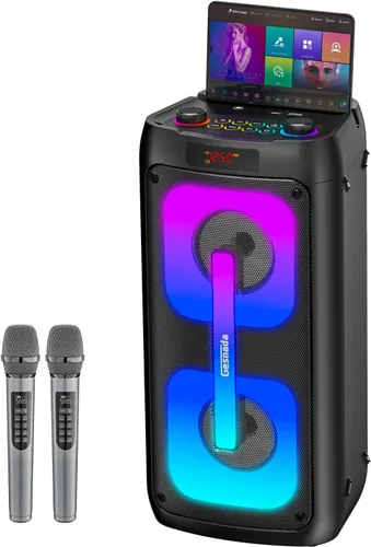 Máquina de karaoke con 2 micrófonos inalámbricos, sistema PA portátil con luces LED, Bluetoot 5.3, altavoz de fiesta compatible con tipo C, USB,