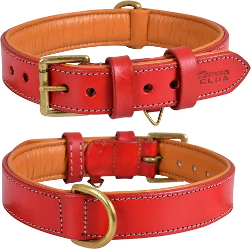 Miniatura 9 de Collar de perro de cuero para perros medianos, marrón, 1 pulgada de ancho, cuero genuino de grano completo, resistente con acolchado interior suave