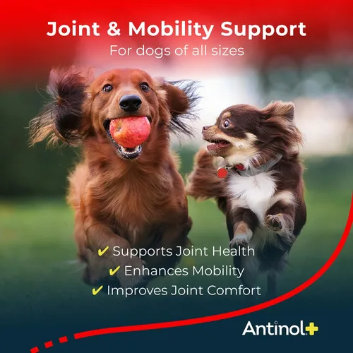 Miniatura 2 de Antinol Plus, suplemento para movilidad, cadera y articulaciones para perros, con almejas de lapa verde y aceite de krill - suplemento